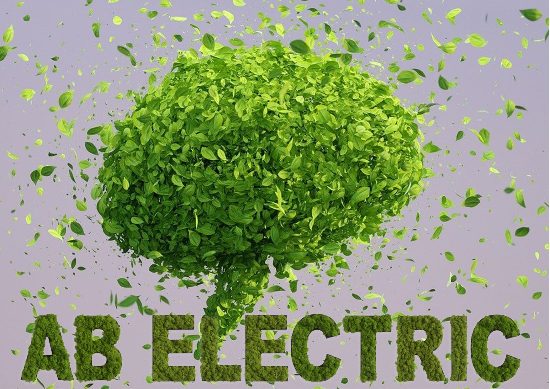 Det handler ikke kun om CO2 aftryk, når der hos AB Electric A/S tales om bæredygtighed, verdensmål og samfundsansvar.